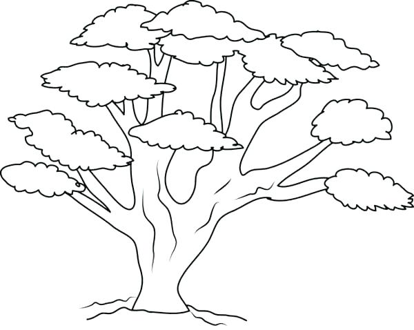 600x478 Tree Trunk Coloring Page Bell Printable Fall Tree Coloring Page