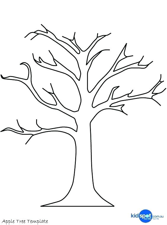 564x760 Tree Trunk Coloring Page Tree Trunk Coloring Page Bare Tree