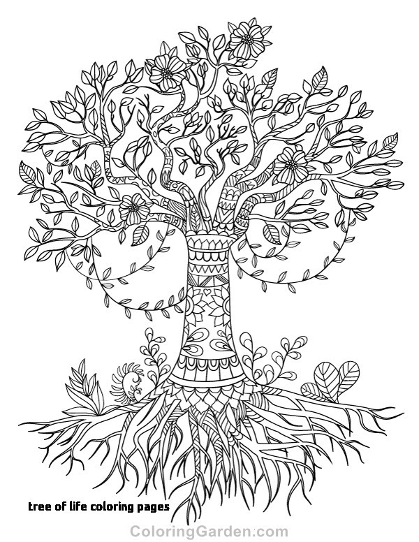 600x776 Tree Trunk Coloring Sheet Free Coloring Pages