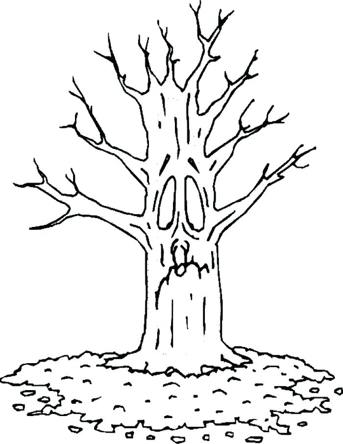700x906 Coloring Pages Of Trees Without Leaves