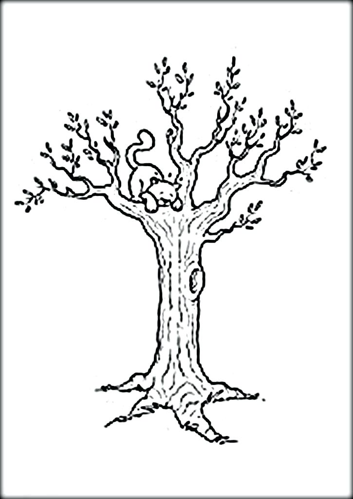 725x1024 Bare Tree Coloring Page Bare Tree Coloring Pages Color Bare Tree