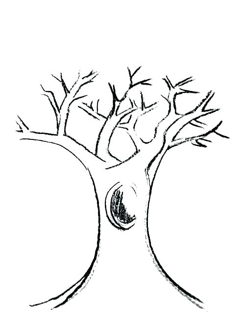494x640 Tree Trunk Coloring Page