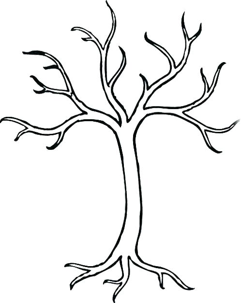 500x625 Bare Tree Coloring Page Bare Tree Coloring Sheet Bare Tree Trunk