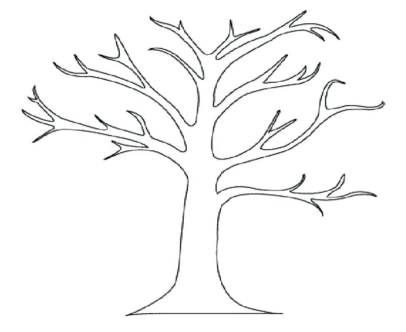 800x654 Bare Tree Coloring Page Tree Coloring Sheet Big Bare Tree Coloring
