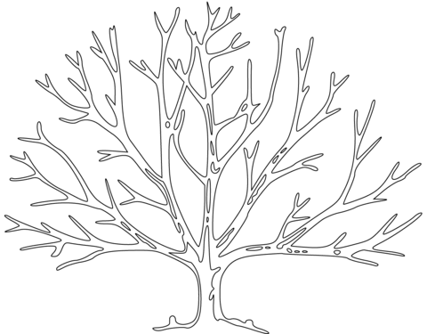 480x375 Bare Tree Coloring Page 26 Tree Trunk Coloring Pages Tree Trunk