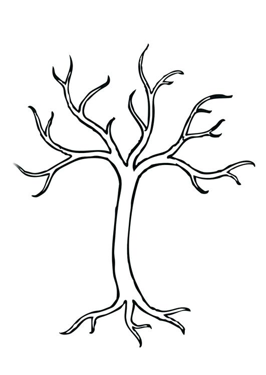 531x750 Coloring Page Tree Img 28966 Coloring Page Tree Coloring Page Tree
