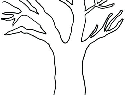 440x330 Coloring Pages Of Trees Without Leaves Tree Without Leaves