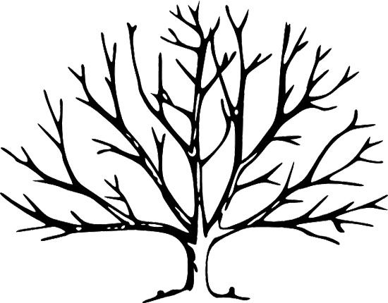 550x430 Fall Tree Without Leaves Coloring Page Tree Fall