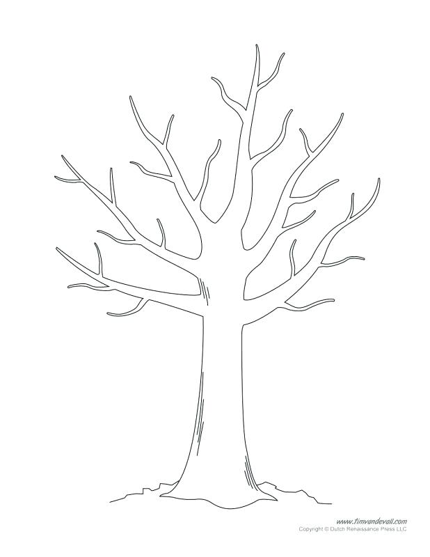 618x800 Fall Tree Without Leaves Coloring Page Tree Fall Fall Tree Without