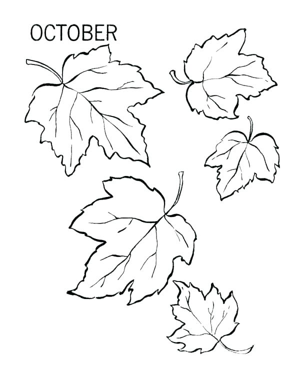 600x734 Autumn Leaf Coloring Pages Coloring Page Of Leaves Maple Tree