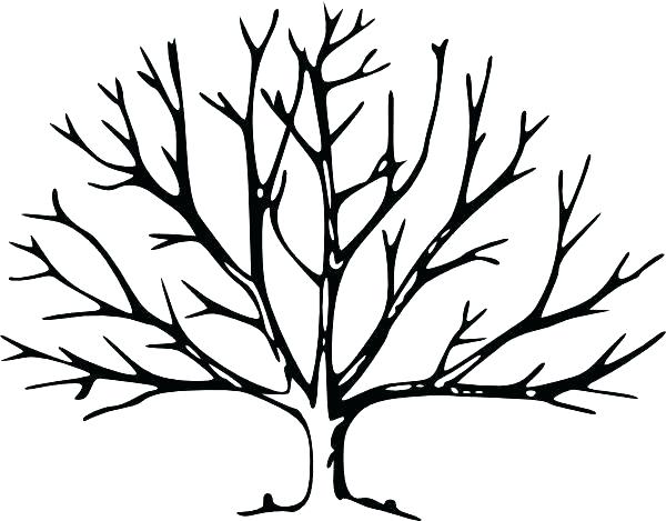 600x469 Tree Without Leaves Coloring Page Fall Tree Coloring Pages Fall