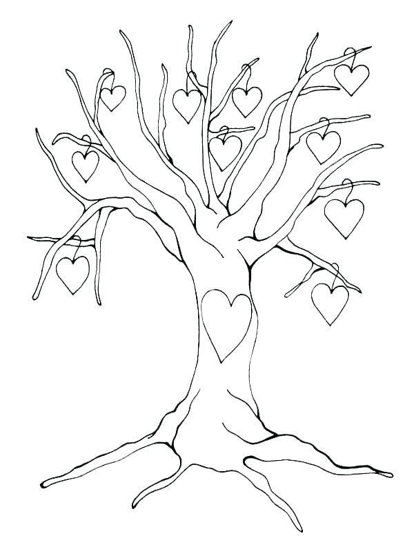 600x806 Tree Without Leaves Coloring Page Tree Without Leaves Coloring