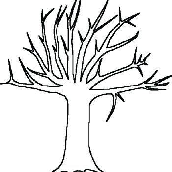 350x350 Tree Without Leaves Coloring Page Tree Without Leaves Of Bare Tree