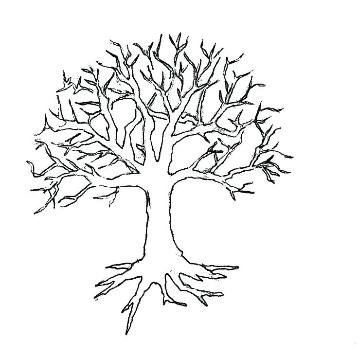736x736 Coloring Pages Fall Leaves Coloring Pages Fall Leaves Fall Tree