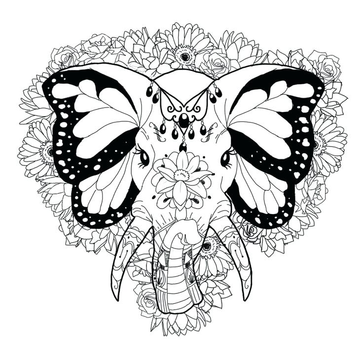 736x736 Elephant Coloring Sheets Hard Elephant Coloring Pages For Adults