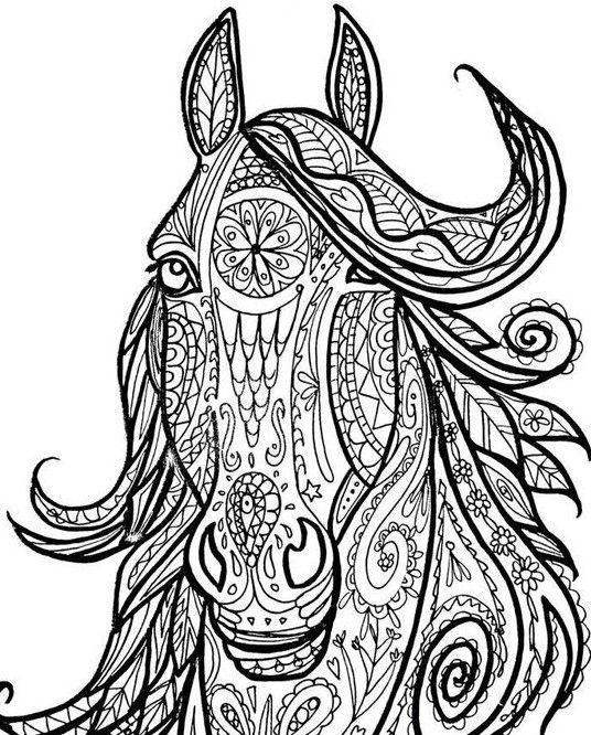536x666 12 Best Coloring Pages Images On Colouring Pages