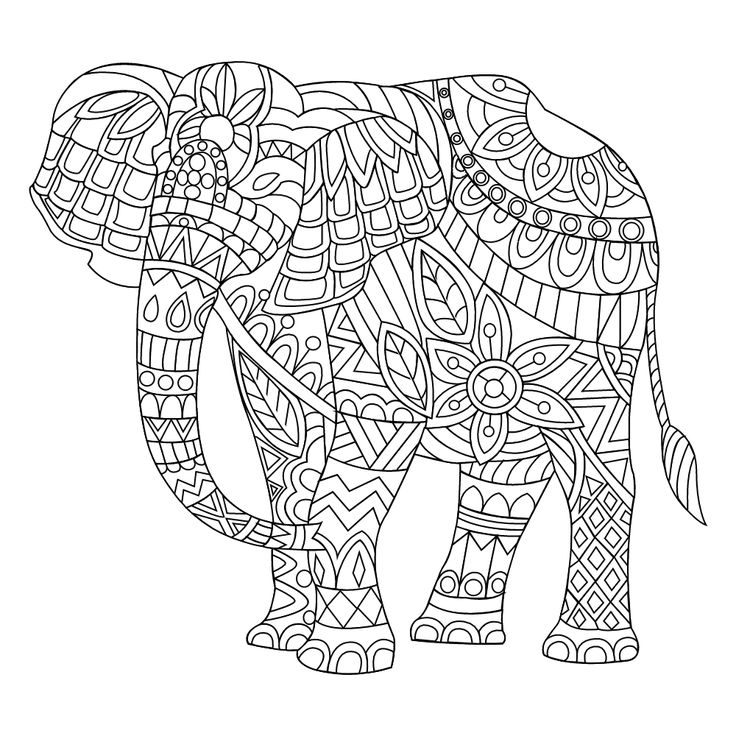 736x736 136 Best Coloring Elephants Images On Coloring Pages