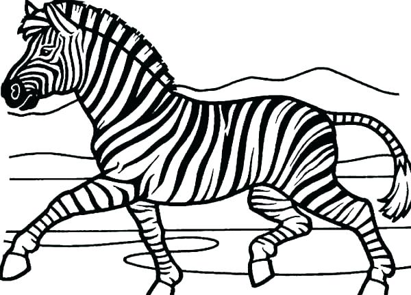 600x432 Cheetah Print Coloring Pages Paw Print Coloring Pages Cheetah