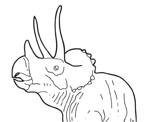 497x394 Dinosaur Big Triceratops Coloring Page Cute Little Dinosaur Big
