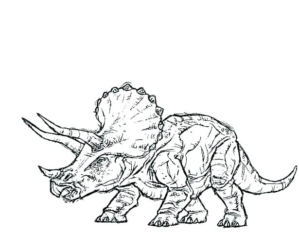 615x513 Mesmerizing Tyrannosaurus Rex Coloring Pages Mesmerizing