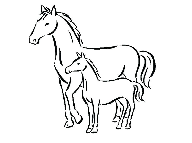 801x600 Free Printable Horse Coloring Pages For Adults Advanced Of Horses
