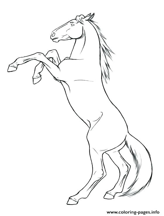 561x739 Coloring Page Horse