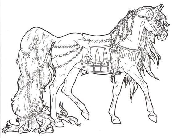 564x447 Cool Horse Coloring Pages
