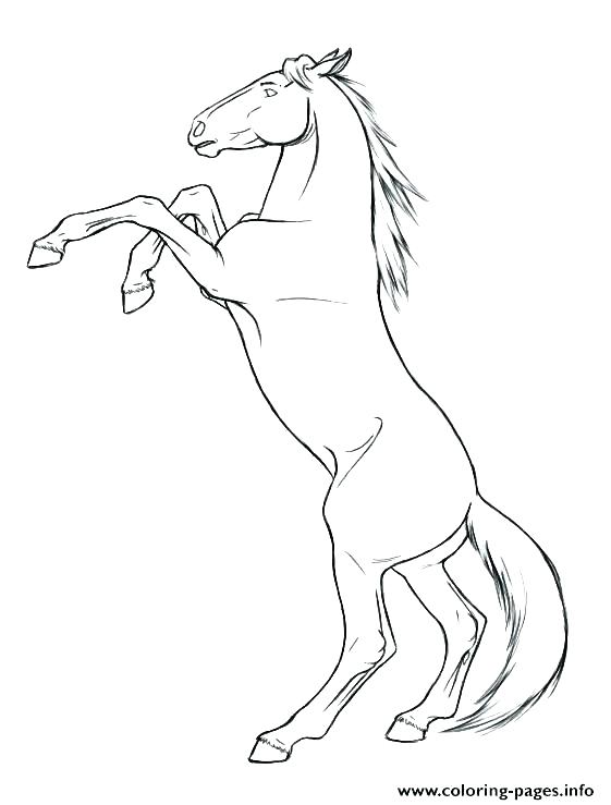 561x739 Horse Printable Coloring Page Horses Coloring Pages Of Baby Horses