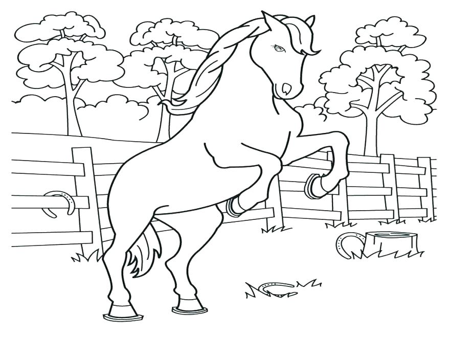878x659 Adults Difficult Animals Horse Printable Hd Coloring Pages