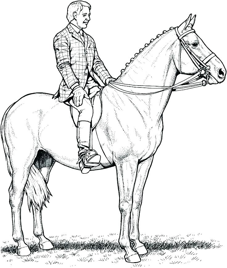 736x867 Coloring Page Of A Horse Coloring Pages Of Horses Jumping Coloring