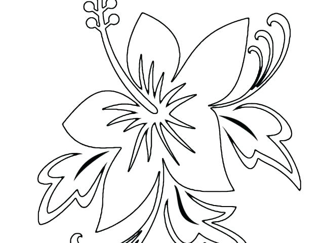 640x480 Coloring Pages Easter Rabbits Page Beach Colouring A Scenic