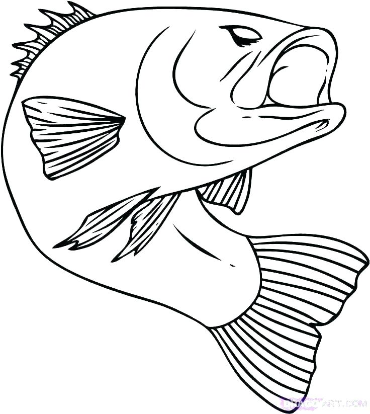 Tropical Bird Coloring Pages