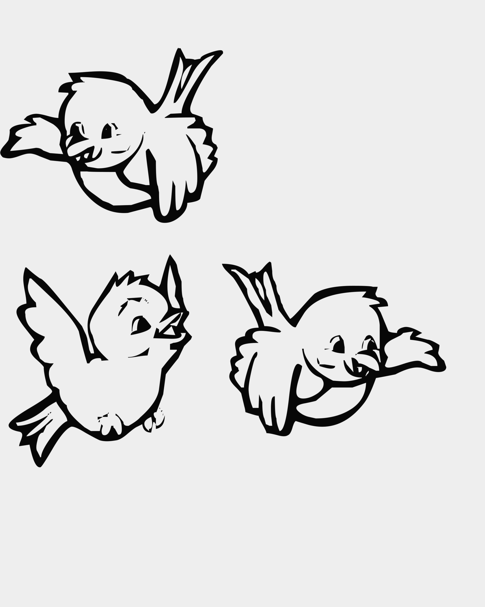 2025x2532 Inspirational Tropical Bird Coloring Pages