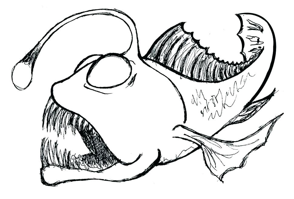 970x658 Tropical Bird Coloring Pages Free Coloring Pages Of Rainforest