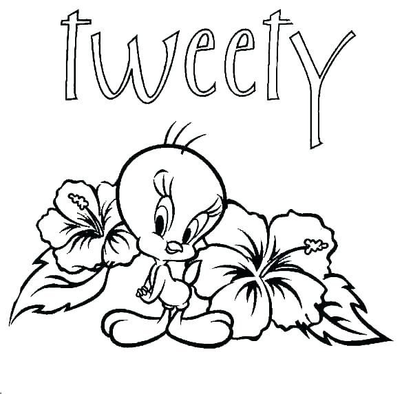 600x573 Free Bird Coloring Pages Bird Coloring Page Pages With Free