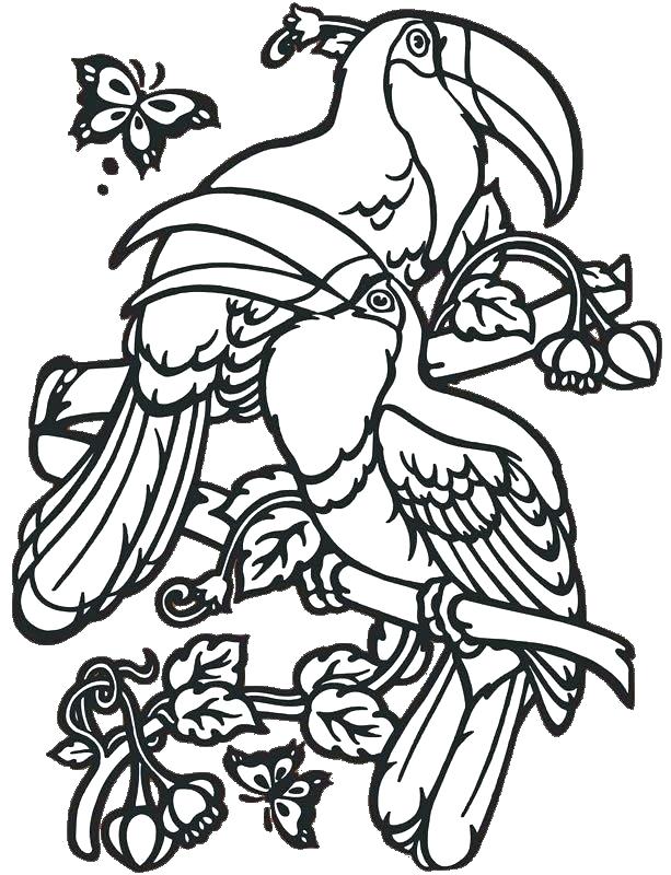 613x800 Landscape Coloring Pages For Adults Tropical Beach Page