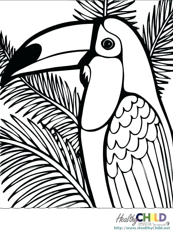 594x793 Rainforest Animals Coloring Pages Coloring Pages Printable