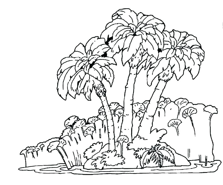 940x779 Rainforest Flowers Coloring Pages Tropical Coloring Pages Tropical