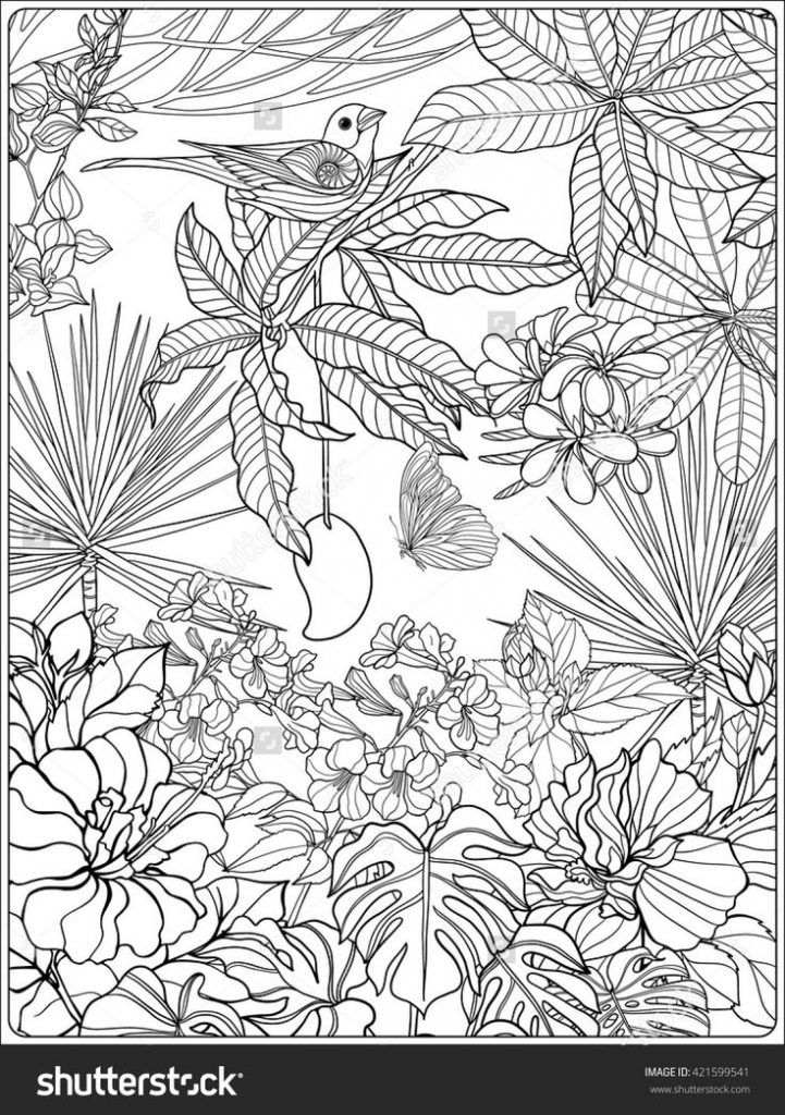 721x1024 Tropical Coloring Pages For Adults