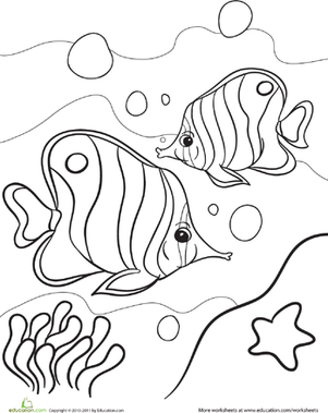 301x379 Tropical Fish Worksheet
