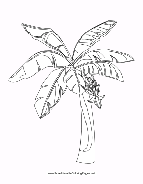 281x363 Coloring Page