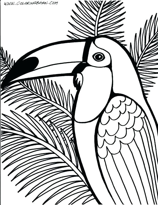 618x805 Rainforest Coloring Pages Coloring Pages Coloring Page Coloring
