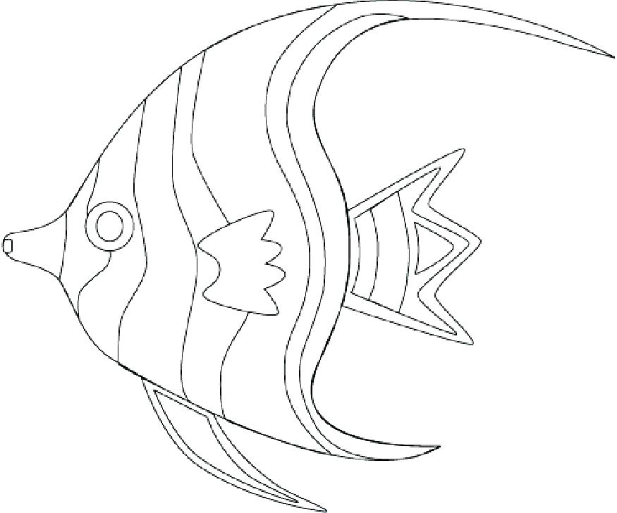 875x728 Ocean Fish Coloring Pages Tropical Fish Colori Pages Ocean Fish