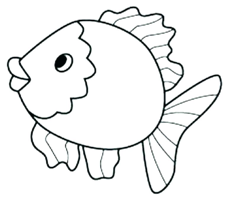 800x680 Realistic Fish Coloring Pages Tropical Fish Coloring Page Tropical