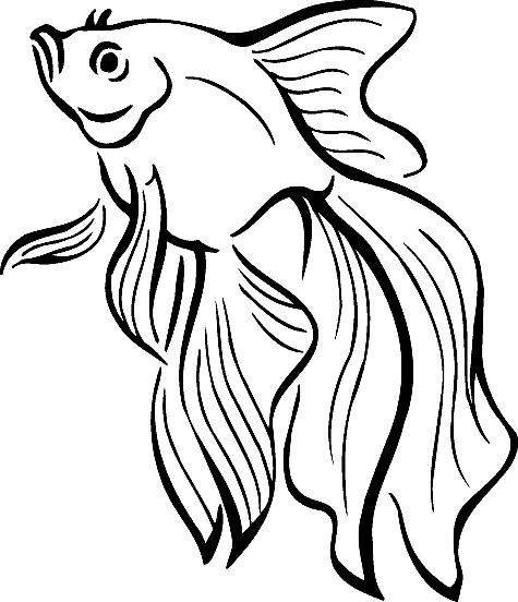475x552 Realistic Tropical Fish Coloring Pages Clipart Panda
