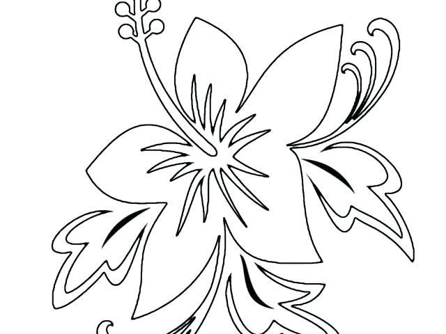 640x480 Tropical Flower Coloring Pages To Print Tropical Coloring Pages