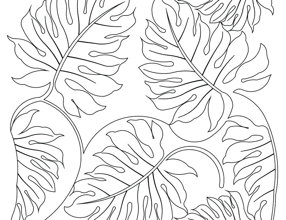 1000x768 Printable Leaves Coloring Pages Maple Leaf Template Printable Leaf