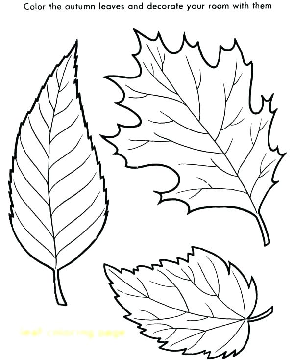 600x734 Coloring Page Leaves Fall Leaves Coloring Page Printable Kids