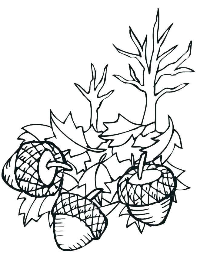 660x853 Coloring Pages Leaves Autumn Gallery Coloring Pages Leaves