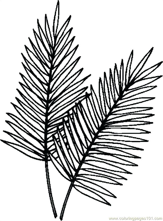 650x883 Coloring Pages Leaves Fall Leaves Coloring Page Leaf Coloring